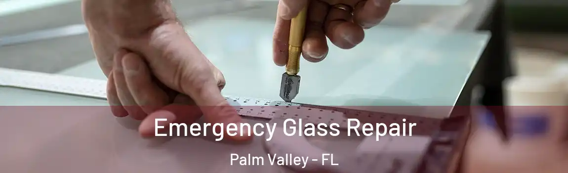  Emergency Glass Repair Palm Valley - FL