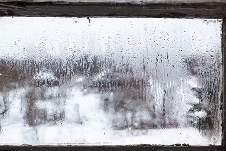 Defogging Double Pane Windows in Palm Valley, FL