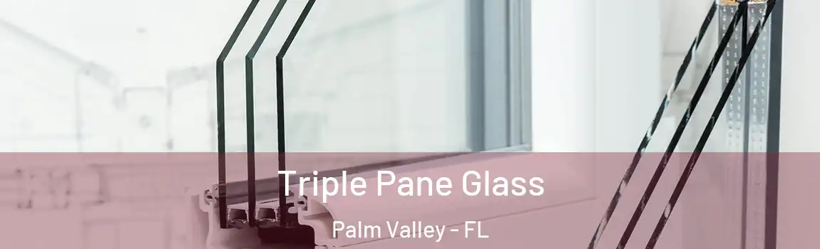  Triple Pane Glass Palm Valley - FL